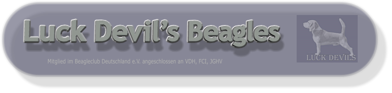 Luck Devil’s Beagles Mitglied im Beagleclub Deutschland e.V. angeschlossen an VDH, FCI, JGHV
